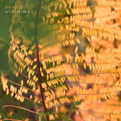 Akmuo - Sūkurys