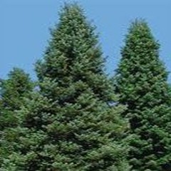 djmikewinston WHATSTAKINGSOLONG