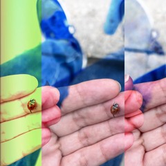 love me while I'm still here