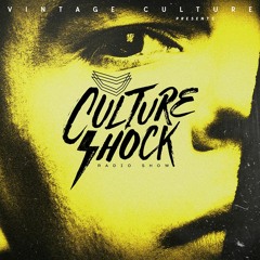 Vintage Culture - Culture Shock #074