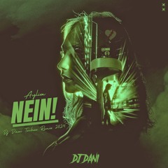 Ayliva - NEIN! - ( Techno Mix )( Dj Dani Remix ) 2024