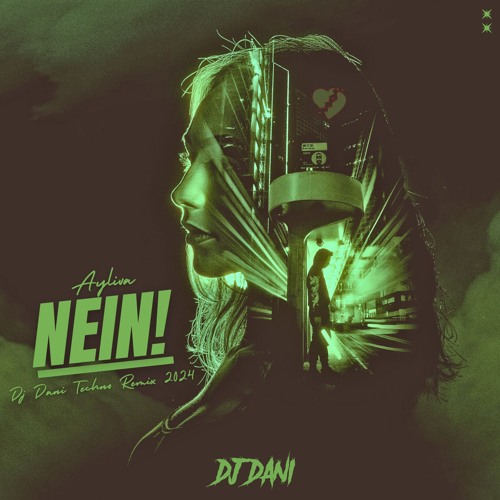 Ayliva - NEIN! - ( Techno Mix )( Dj Dani Remix ) 2024
