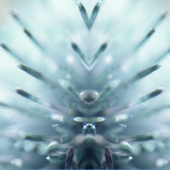 Premiere: Kahai Owens "Existing Shapes" - Diffuse Reality