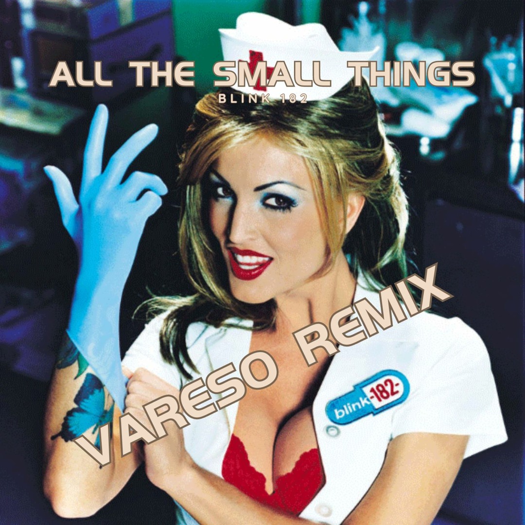 Blink-182　All The Small Things　レコード　12 Blink 182 - All the Small Thing - Amazon.com Music