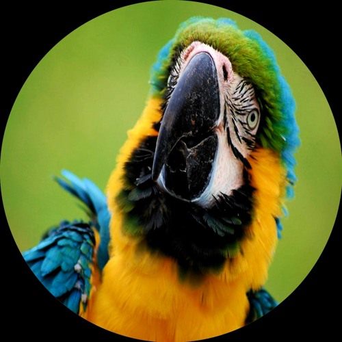 [HDRL210] Bru9 - Drop Dat Beat EP Out Now!!!