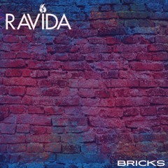 Bricks