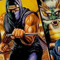 ErichWK - Ninja Gaiden Trilogy