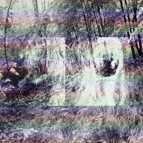 I can sleep whenever I want to