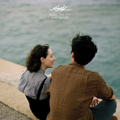 Stream Shook (Official) | Listen to The Rise And Fall EP