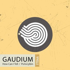 Stream Gaudium - Sessions 003 by Gaudium