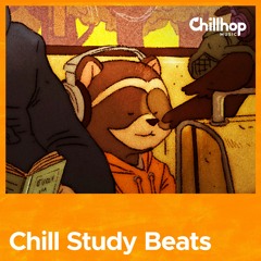 Chill Study Beats 8 📚 [lofi hip hop beats to study]