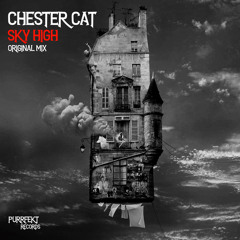 Sky High (Extended Mix)