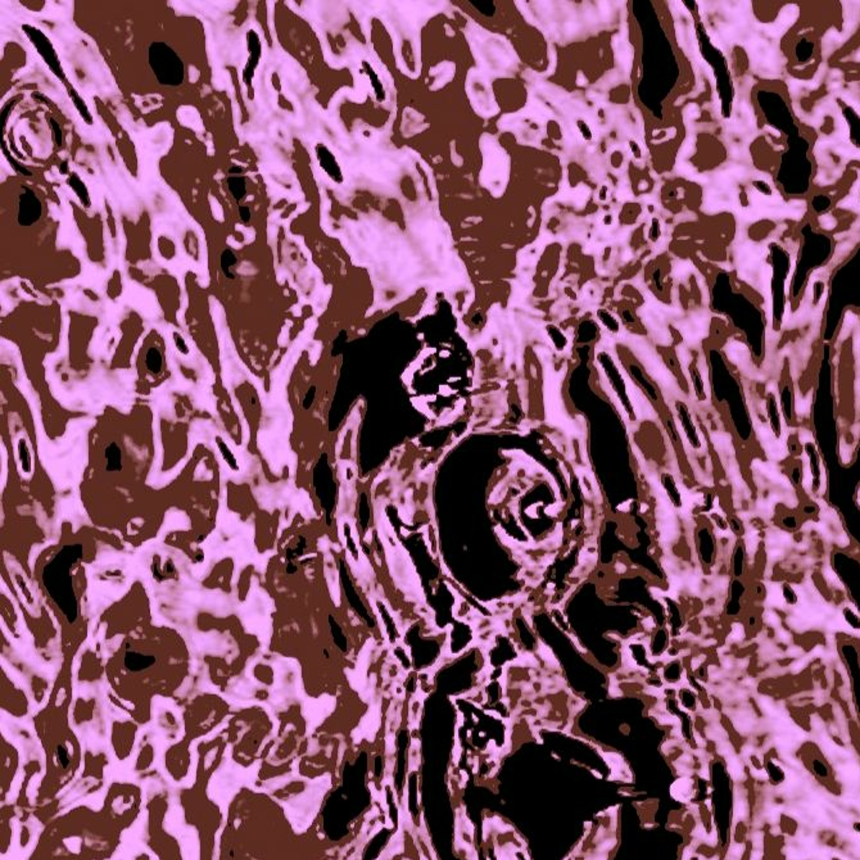 Everyday - Oof tones episode artwork