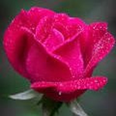 A Good Side (Clean Variety Music Mix Vol. II)