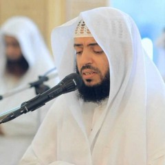 الشيخ وديع اليمني :: قراءة سكينة وطمأنينة  من سورة العنكبوت