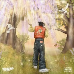 2x plastic swag 2020