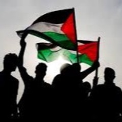 Sound Of Freedom by The99%