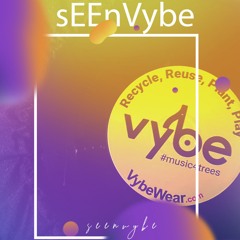 SEEn Vybe - Climate Change (Podcast 1)