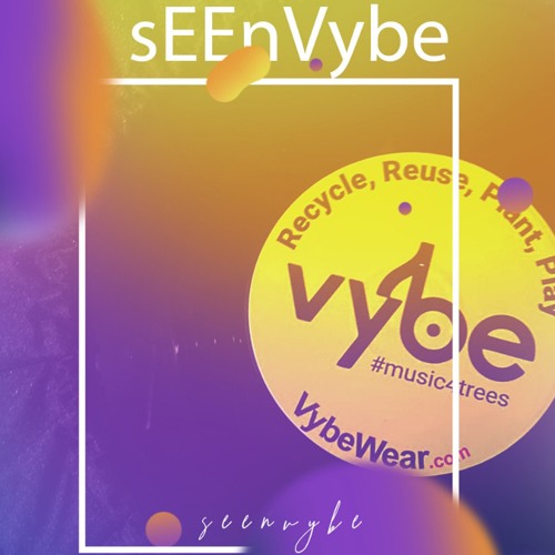 SEEn Vybe - Climate Change (Podcast 3)
