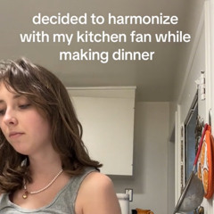 harmonising with a fan in the kitchen