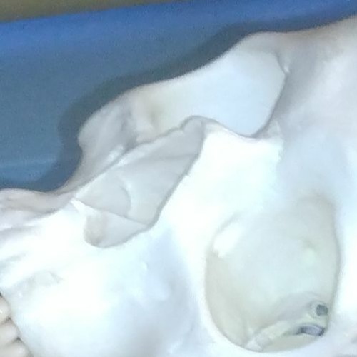 P.I.E. (Partially Improvised Experiments)