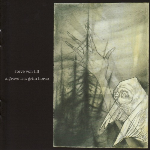 A Grave Is A Grim Horse