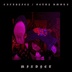 MINDSET (ft. CANXPSIES)