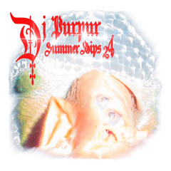 DJ Purpur - Summer Hips 24