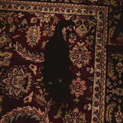 Blackcat