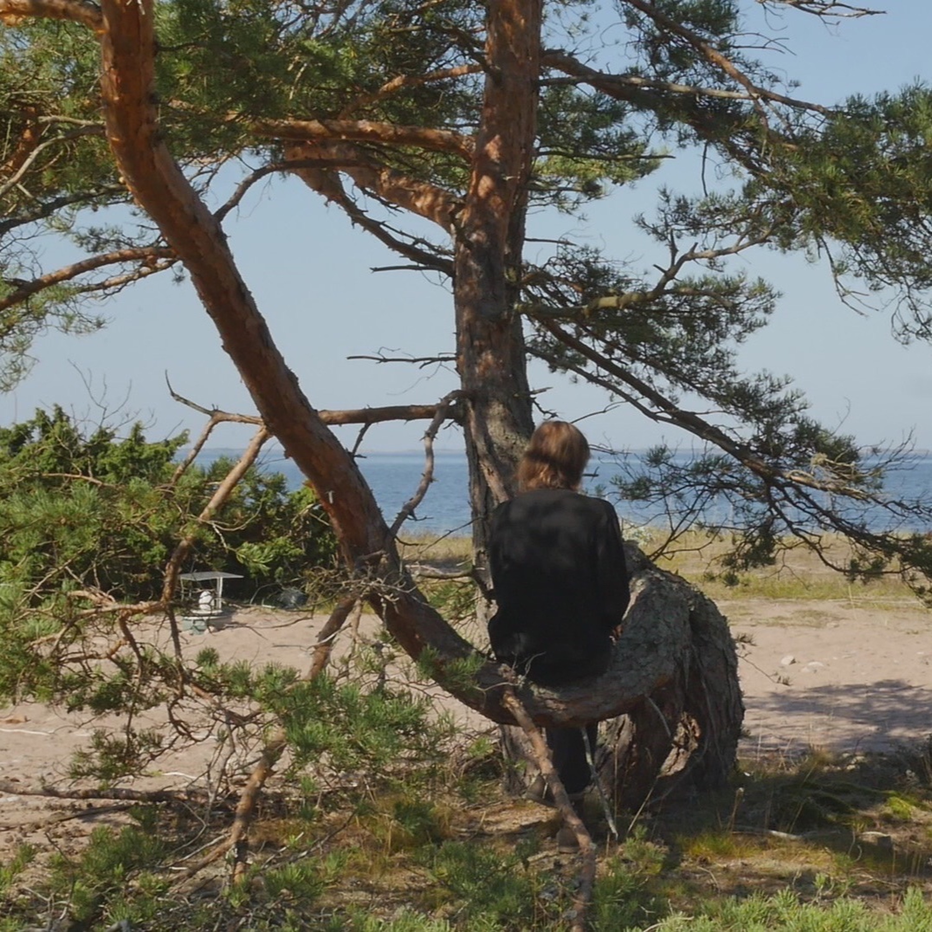 Talar med träd - 5 episode artwork