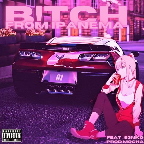 bitch from ipanema (feat _s3nko)