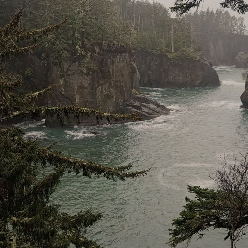 ynot - whats the word