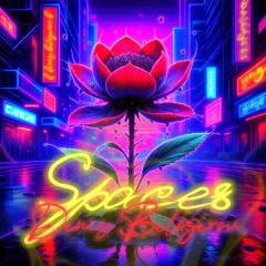 Spaces