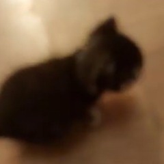 Meow (Koray Ata Remix)