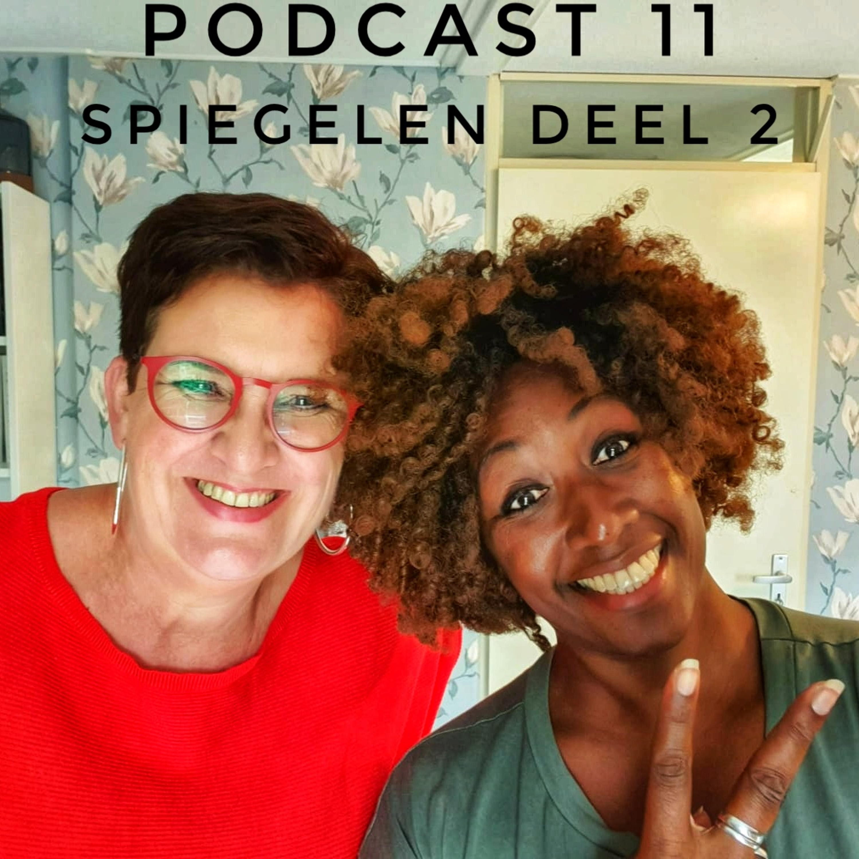 Peggy's Prosperity Podcast 11 - Spiegelen (Deel 2) episode artwork