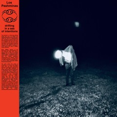 PREMIERE | Los Pashminas -  May They (DEE DEE'S PICKS] 2023