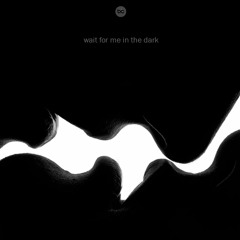 Wait for me in the dark (#44)