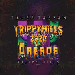 trippy Hills 2020 P1