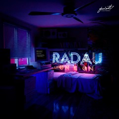 Radau - In the End