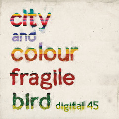 Fragile Bird (Acoustic)