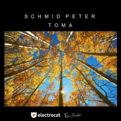 Electrocat - Peter Schmid - Toma 15.10.2025