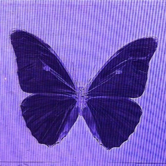 기다리지 마(Go walk away)-US 200