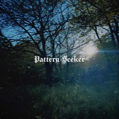 Pattern Seeker - DEMO