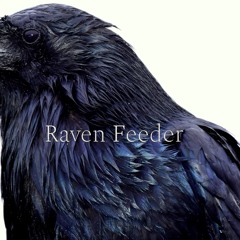 Raven Feeder
