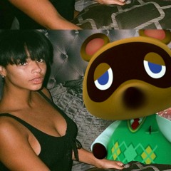 yo tom nook you wanna come out here