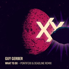 Guy Gerber - What To Do (Pontifexx & DEADLINE Remix)