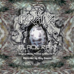 Black Rain - Original Mix (Remastered by Maor Hasbani) Preview
