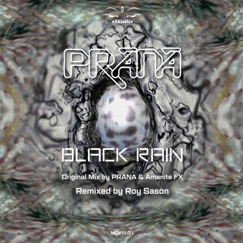 Black Rain -Remixed by Roy Sason - Preview