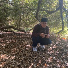 YVNG GXTTi ft Zerek'