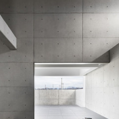 ALVED - "RemotelyTriumphz'., (Banned From Faults)"